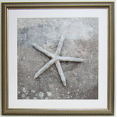 Premier Starfish Shell Wall Art