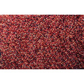 Lil Wooly Red Rug