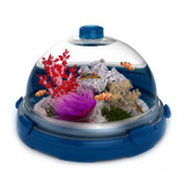 Aquarium Bundle