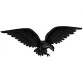 Eagle Wall Decor