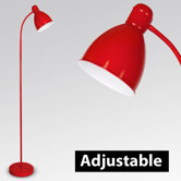 Adjustable Flexi Neck Floor Lamp