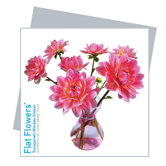 Flat Flowers Greetings in Dahlia