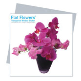 Flat Flowers Greetings in Orchid