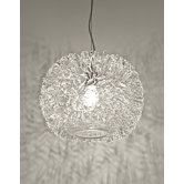 Sea Urchin Suspension Light
