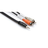 10' 3.5mm TRSM to Dual RCAM Stereo Breakout Cable