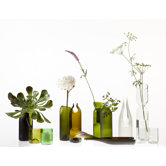 tranSglass Tumbler (Set of 4) in Polished