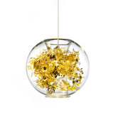Tangle 1 Light Globe Pendant
