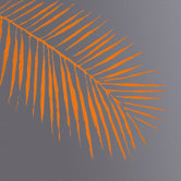 Sunpan Modern Wall Art