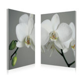 White Orchid Wall Art