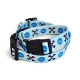 Paul Frank 3D Skurvy Dog Collar