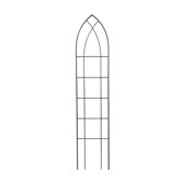 Triumph Trellis