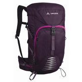 Sentai Winter Backpack