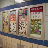 Recessed Glazed Display Boards with Hinged Doors
