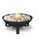 Dish Fireplace