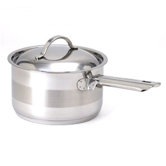 Gourmet Stainless Steel Saucepan with Lid