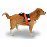 Raider Dog Training Harness