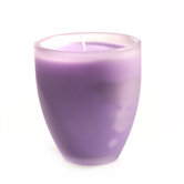 Natural Fragrances Fresh Lavender Scented Jar Candle