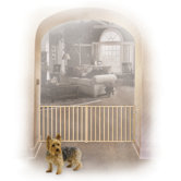 Extra-Wide Rail and Baluster Pet Gate