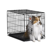 iCrate Single-Door Dog Crate