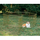 Exercise Pen with Door in Gold Finish