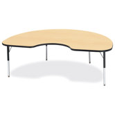 KYDZ Activity Table- Kidney (48" x 72")