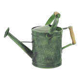 Green Patina Watering Can