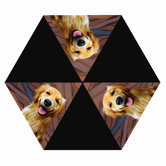 Golden Retriever Umbrella