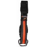 Dog Collar