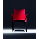 Bloom Dining Arm Chair