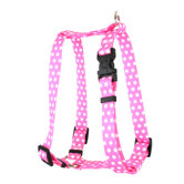 New Polka Dot &nbsp;Roman Harness