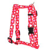 Red Hearts Roman Harness