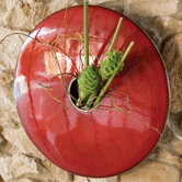 Discus Wall Vase in Red