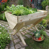 Vegetable Planter