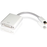 Mini DisplayPort Male to DVI Female Adapter