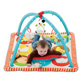 Funky Farmyard Activity Gym