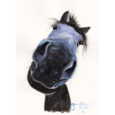 Happy Horse Burt by Shirley MacArthur Wall Art