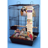 Large Top Black Starter Bird Kit