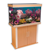Nautilus II Aquarium with Silver Trim and Stand