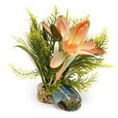 Lotus Flower Jungle Pod