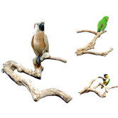 Bird Cage Accessories