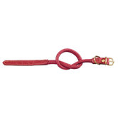 Fashion Tubular Leather Dog Collar in Red