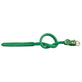 Fashion Tubular Leather Dog Collar in Green