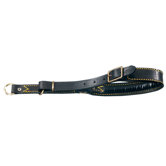 Classic Locking Choke Collar