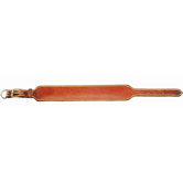 Classic Doberman / Boxer Dog Collar