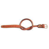 Classic Special Tubular Leather Dog Collar in Brown