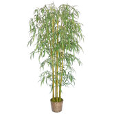 6' Silk Bamboo Tree with Wicker Basket Planter