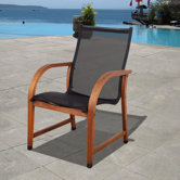 Amazonia Dining Arm Chairs (Set of 4)
