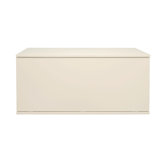 Wonder Wall Drop-Down Door Cabinet