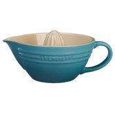 Stoneware Citrus Juicer
