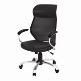 Manager Mesh and Leather Care Chair